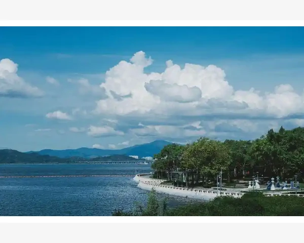 去风湿湿热药——缓解关节疼痛的中药良方
